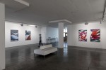 Installation 5 2017 by Jennifer Goodman