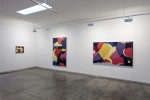 Senses & Thoughts installation shot #5 2012 by Jennifer Goodman